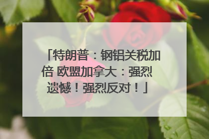 特朗普：钢铝关税加倍 欧盟加拿大：强烈遗憾！强烈反对！