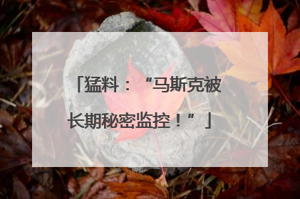 猛料：“马斯克被长期秘密监控！”