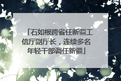 石如根跨省任新疆工信厅副厅长，连续多名年轻干部调任新疆