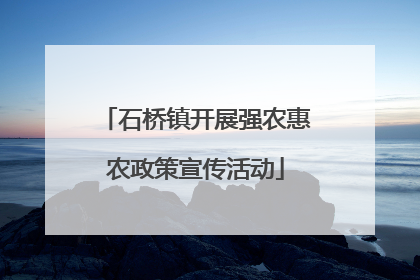 石桥镇开展强农惠农政策宣传活动