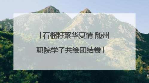 石榴籽聚华夏情 随州职院学子共绘团结卷