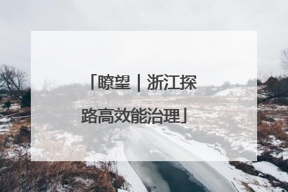 瞭望｜浙江探路高效能治理