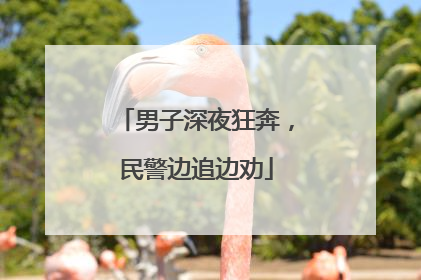 男子深夜狂奔，民警边追边劝
