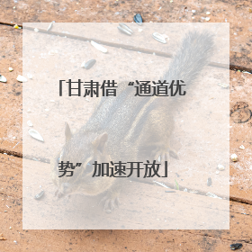 甘肃借“通道优势”加速开放