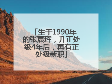 生于1990年的张宸珲，升正处级4年后，再有正处级新职