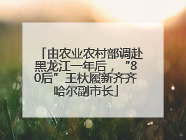 由农业农村部调赴黑龙江一年后，“80后”王杕履新齐齐哈尔副市长