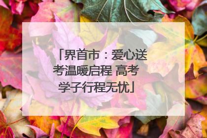 界首市：爱心送考温暖启程 高考学子行程无忧