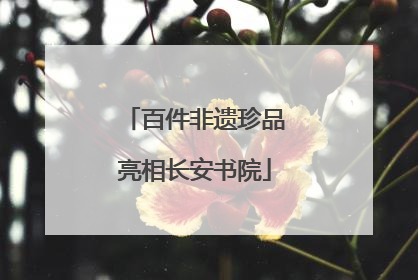 百件非遗珍品亮相长安书院