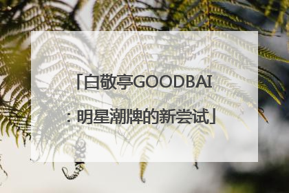 白敬亭GOODBAI：明星潮牌的新尝试