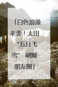 白色浪漫来袭！大田 “五月飞雪” 刷爆朋友圈