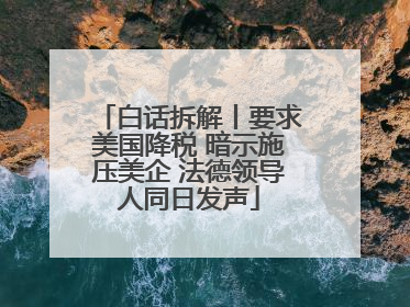 白话拆解丨要求美国降税 暗示施压美企 法德领导人同日发声