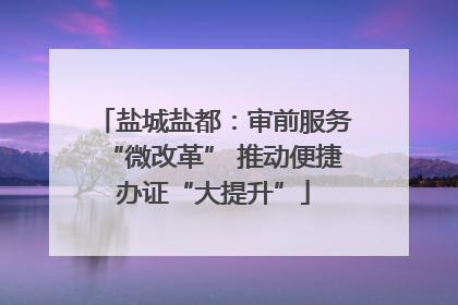 盐城盐都：审前服务“微改革” 推动便捷办证“大提升”