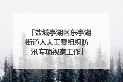 盐城亭湖区东亭湖街道人大工委组织防汛专项视察工作