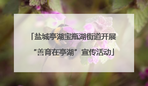 盐城亭湖宝瓶湖街道开展“善育在亭湖”宣传活动