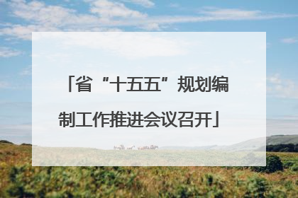 省“十五五”规划编制工作推进会议召开