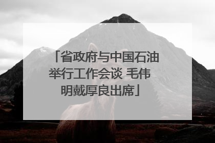 省政府与中国石油举行工作会谈 毛伟明戴厚良出席