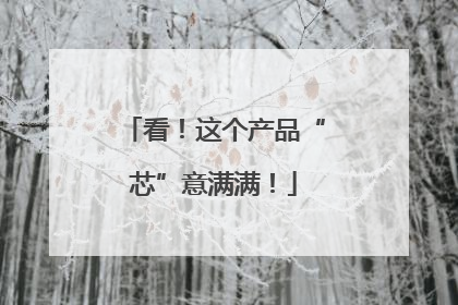 看！这个产品“芯”意满满！