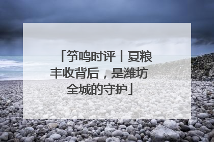筝鸣时评丨夏粮丰收背后，是潍坊全城的守护