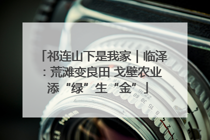 祁连山下是我家｜临泽：荒滩变良田 戈壁农业添“绿”生“金”