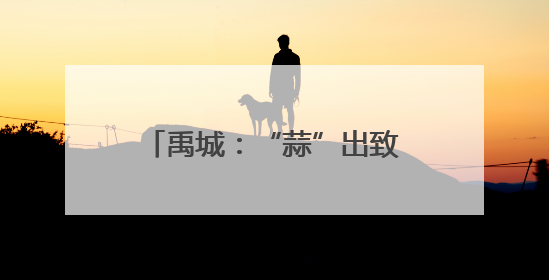 禹城：“蒜”出致富路 丰产又丰收