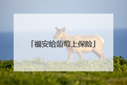福安给葡萄上保险