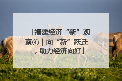 福建经济“新”观察④｜向“新”跃迁，助力经济向好