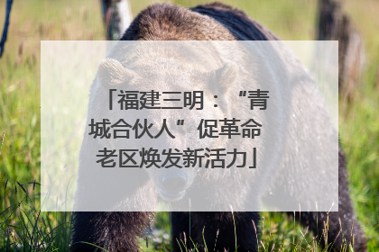 福建三明：“青城合伙人”促革命老区焕发新活力