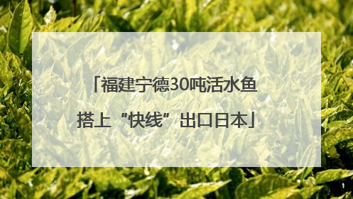 福建宁德30吨活水鱼搭上“快线”出口日本