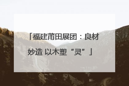 福建莆田展团：良材妙造 以木塑“灵”