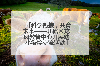 科学衔接，共育未来——北碚区龙凤教管中心开展幼小衔接交流活动
