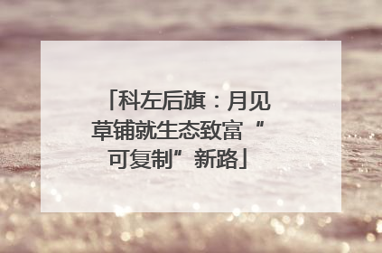 科左后旗：月见草铺就生态致富“可复制”新路