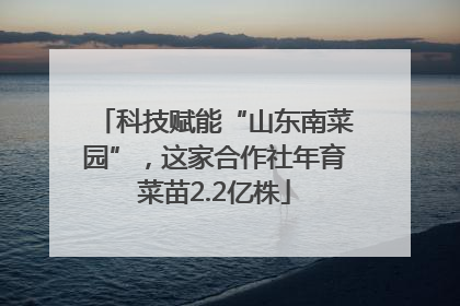 科技赋能“山东南菜园”，这家合作社年育菜苗2.2亿株