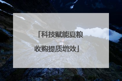 科技赋能夏粮收购提质增效