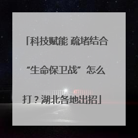 科技赋能 疏堵结合 “生命保卫战”怎么打？湖北各地出招