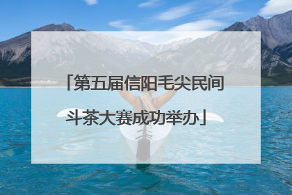 第五届信阳毛尖民间斗茶大赛成功举办