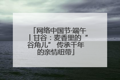 网络中国节·端午丨甘谷：麦香里的“谷角儿” 传承千年的亲情纽带