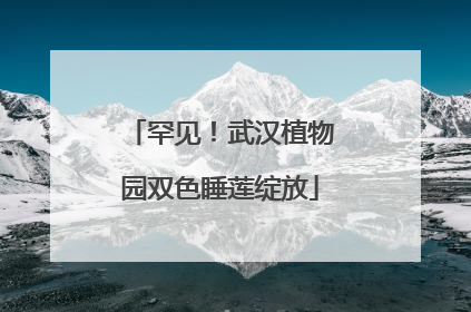 罕见！武汉植物园双色睡莲绽放