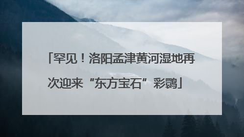罕见！洛阳孟津黄河湿地再次迎来“东方宝石”彩鹮