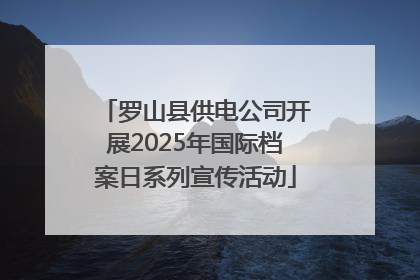 罗山县供电公司开展2025年国际档案日系列宣传活动