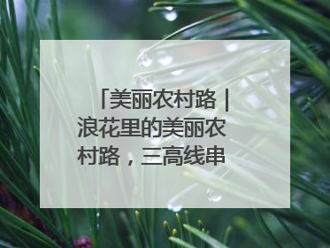美丽农村路｜浪花里的美丽农村路，三高线串起山海经济学