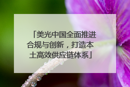 美光中国全面推进合规与创新，打造本土高效供应链体系