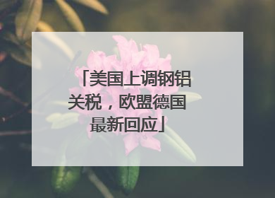 美国上调钢铝关税，欧盟德国最新回应