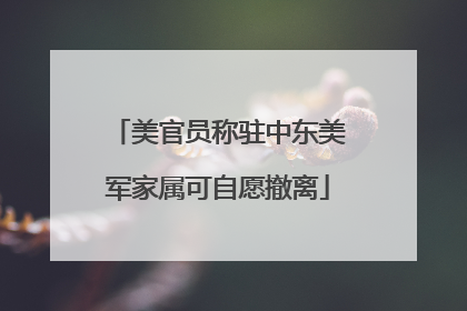 美官员称驻中东美军家属可自愿撤离