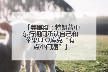 美媒爆：特朗普中东行期间承认自己和苹果CEO库克“有点小问题”