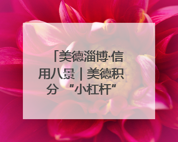 美德淄博·信用八景｜美德积分 “小杠杆”，撬动牟村文明 “大能量”