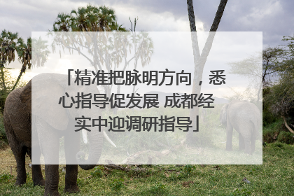 精准把脉明方向，悉心指导促发展 成都经实中迎调研指导