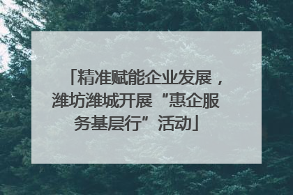 精准赋能企业发展，潍坊潍城开展“惠企服务基层行”活动