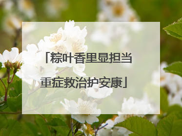 粽叶香里显担当 重症救治护安康