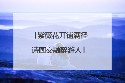 紫薇花开铺满径 诗画交融醉游人