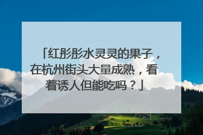红彤彤水灵灵的果子，在杭州街头大量成熟，看着诱人但能吃吗？